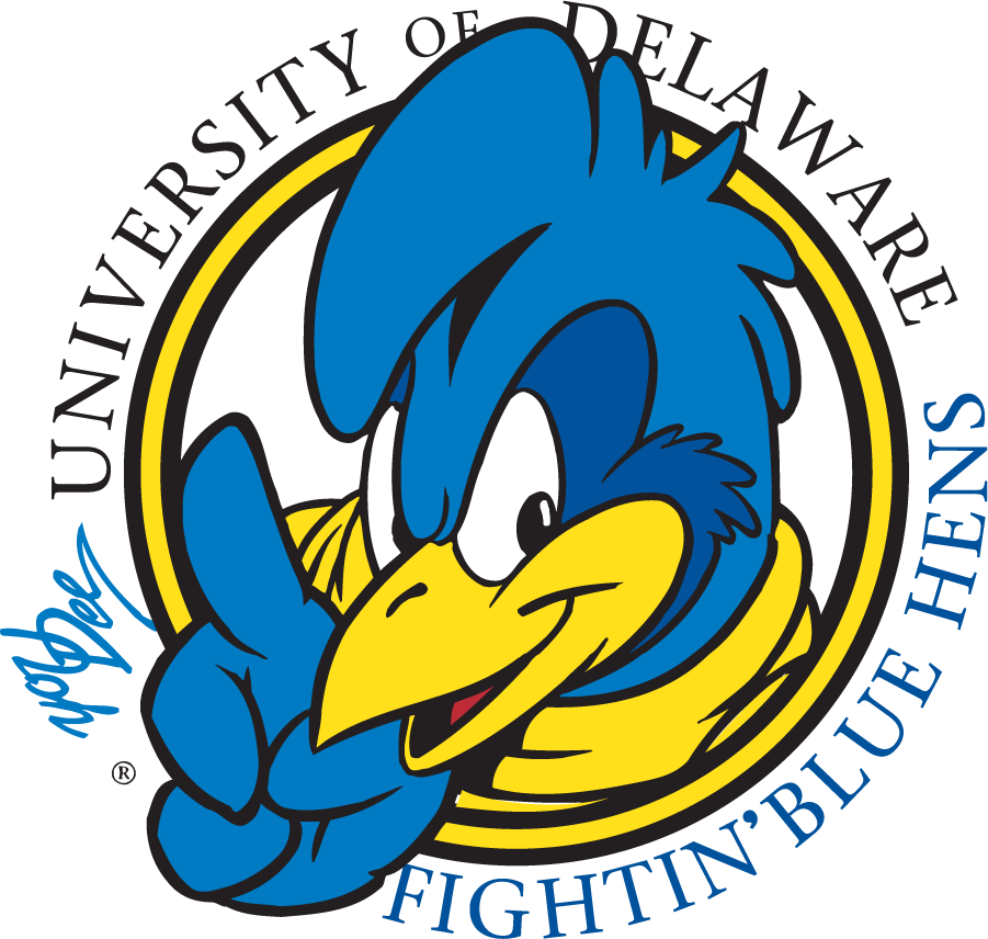 Delaware Blue Hens 1999-2009 Mascot Logo v15 DIY iron on transfer (heat transfer)